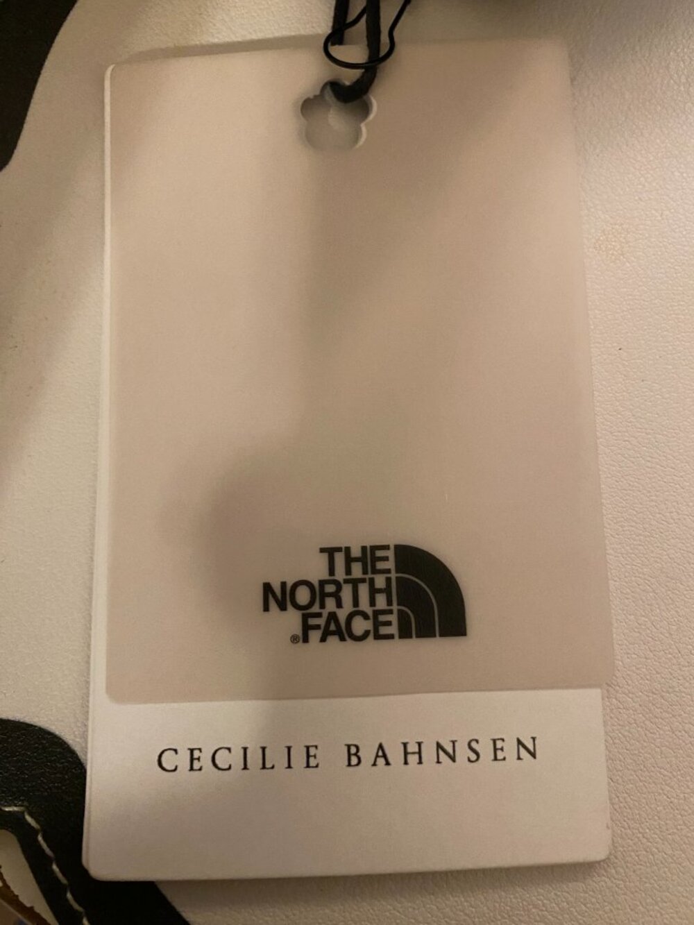 The North Face x Cecilie Bahnsen Maria Base Camp Bag - Black - Picture 10 of 11